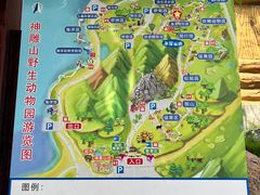 -西霞口神雕山野生动物世界