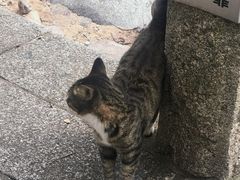 -崂山巨峰游览区