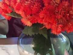 -鼎盛蜀坊·重庆江湖菜(市桥地铁站店)