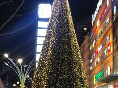 -高新活力汇Vitality