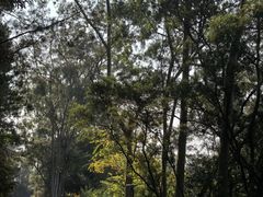 -白云山风景名胜区