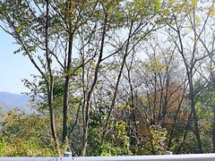 -妙峰山风景名胜区