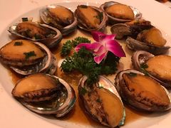 -青岛富力艾美酒店