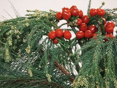 -肥朵食堂(带梦胡同店)