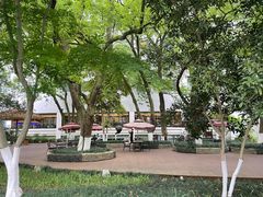 -浙江宾馆·花园餐厅·自助餐厅·茶吧