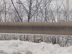 -天屿湖