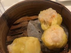 鲜虾烧卖-金鼎轩(亚运村店)