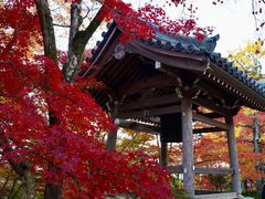 -常寂光寺