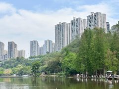 -重庆彩云湖湿地公园