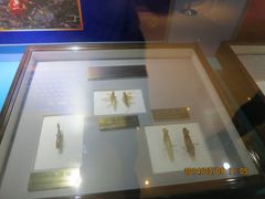 IMG_2809-上海昆虫博物馆
