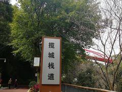 -金鸡山公园