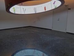 -云溪植物园