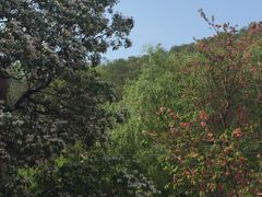 -昆明青龙峡风景区