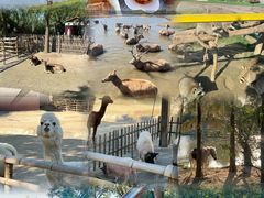 -宁波杭州湾国家湿地公园
