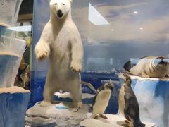 -国家自然博物馆