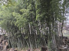 -北寺塔