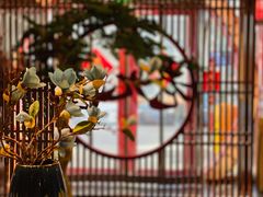 -老九圆山西面馆(CBD店)