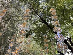 -黄帝千古情