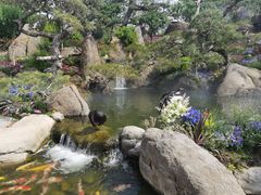 -罗红摄影艺术馆