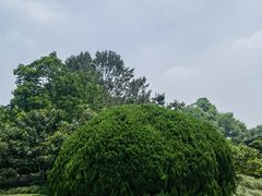 -浙江西子宾馆·瑶园咖啡厅