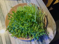 鲜采豆苗-大头椰·椰子鸡火锅(南宁万象城店)