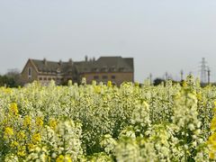 -中国天府农业博览园