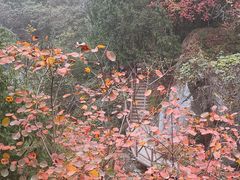 -西安金龙峡风景区