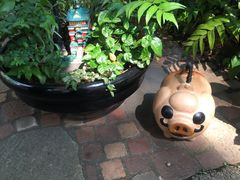 景点-三鹰之森吉卜力美术馆