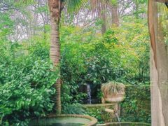 -野蔓果·山野菜(西湖景区·龙井茶田店)