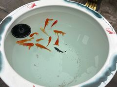 -高庙保安寺
