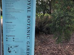 -墨尔本皇家植物园