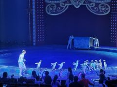 -珠海横琴长隆《卡卡虎奇遇记》