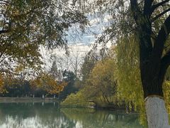 -合肥生态公园