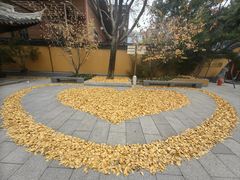 -龙华寺
