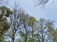 -杭州植物园