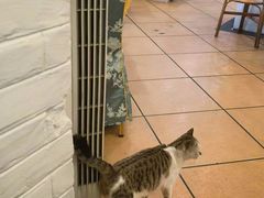 -长润·濑尿烧鹅