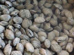 -火山烧烤(黄泥磅店)