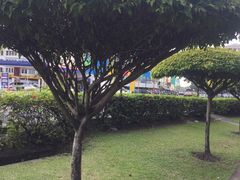 -兴旺海鲜砂煲王