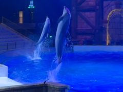 -波塞冬旅游度假区