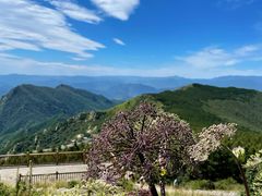 -白草畔自然风景区