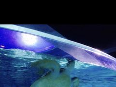 -常州海昌海洋探索馆