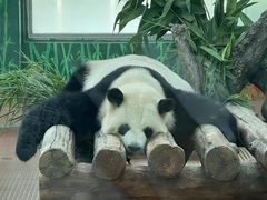 -广州动物园