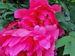 -哈尔滨文化公园