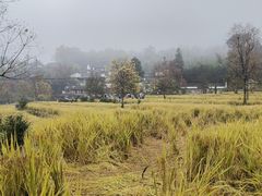 -塔川景区