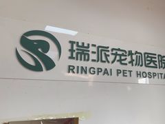 -瑞派天宁宠物医院·猫科·异宠中心