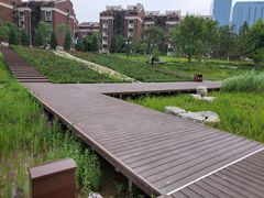 -西海子公园