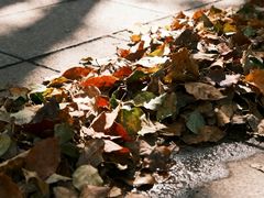 -西安市长乐公园