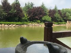 -芭东小镇温泉
