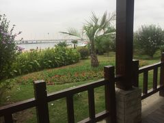 -碧海金沙