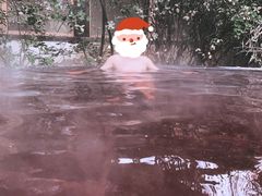 -仁爱团泊湖温泉中心
